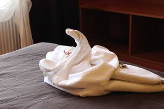 Отель Hotel Sjesta Миколув Двухместный номер с 2 отдельными кроватями-3
